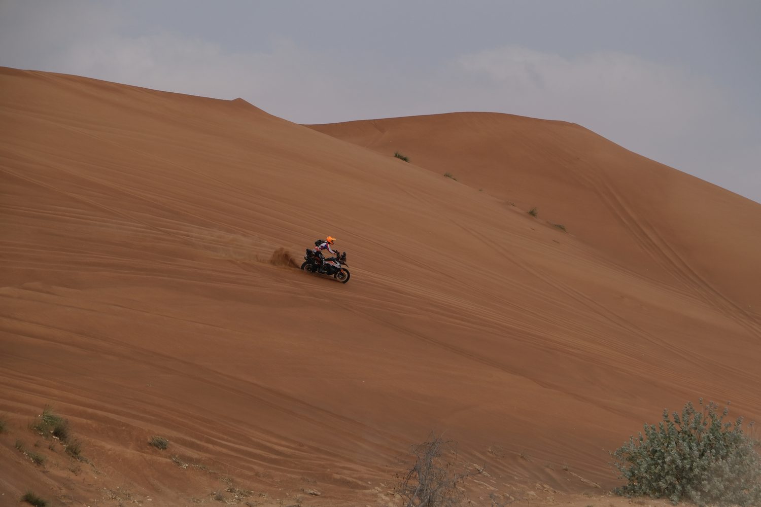 Rider cresting a dune during training