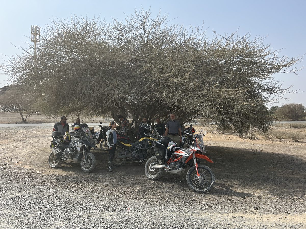 Break under an acacia tree